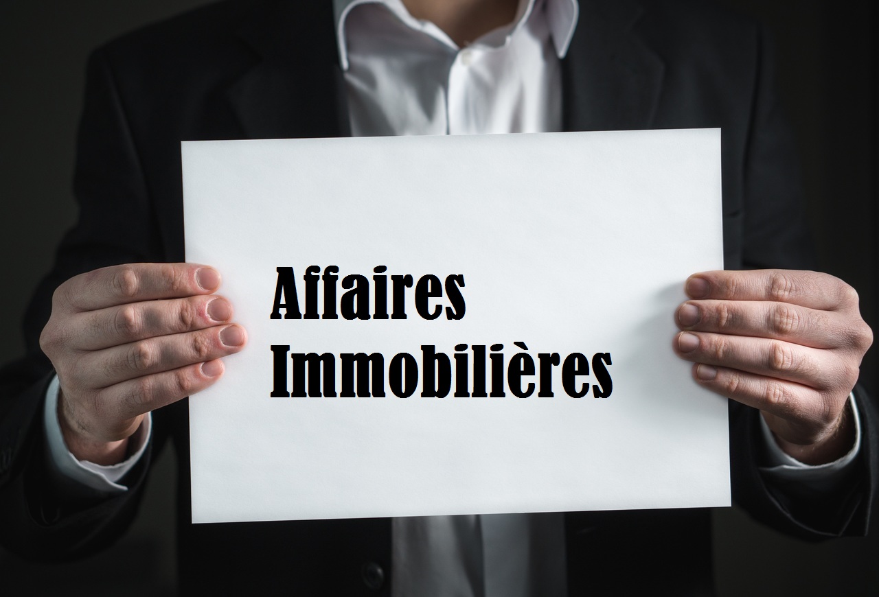 Tout sur les affaires immobilières en Alpilles